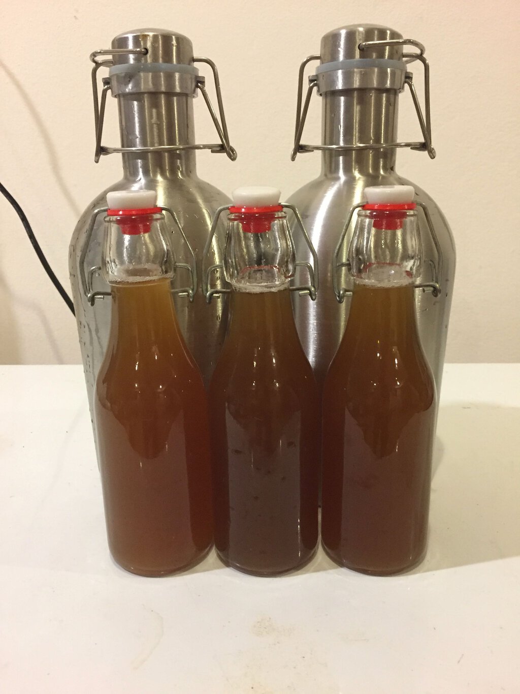 Bottled Kvass