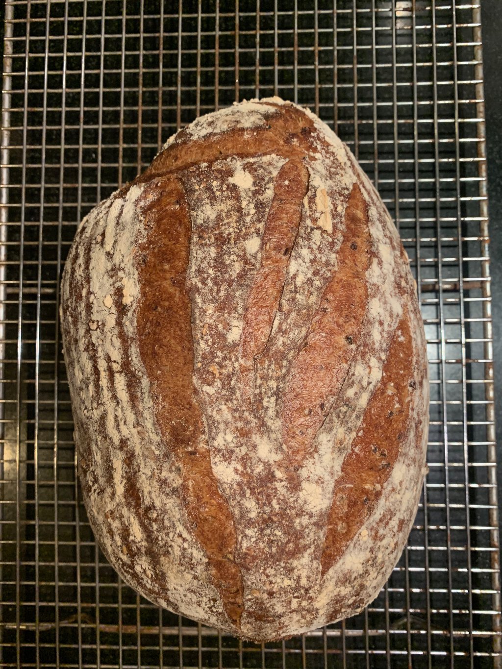 The trub and spent grain bread straight from the oven