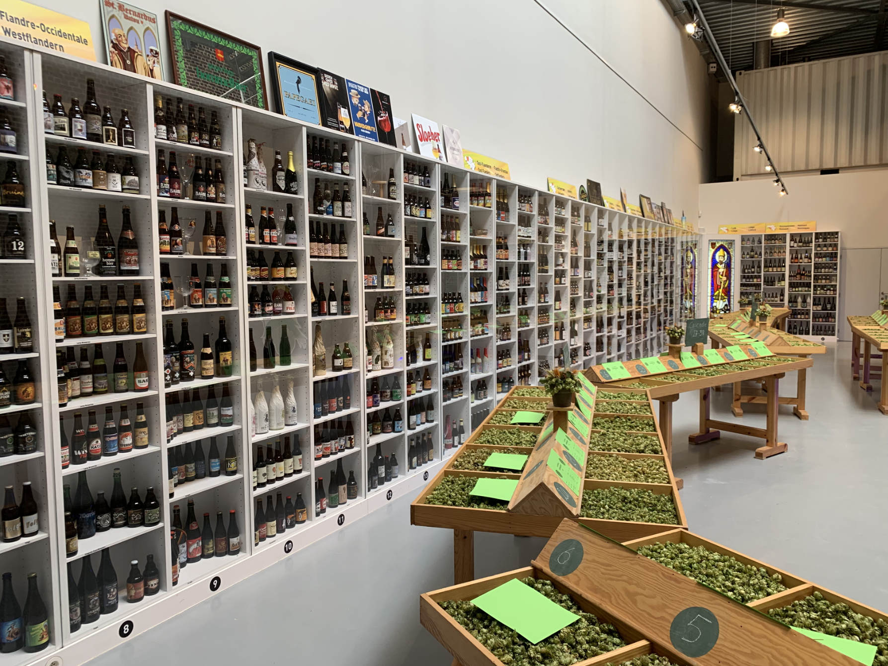 Hops, bottles and more hops in the Poperinge hop museum